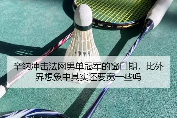 辛纳冲击法网男单冠军的窗口期，比外界想象中其实还要宽一些吗